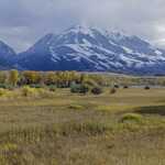 A Really Nice Fit To The Bantam Back Cover With Emigrant Peak HUGE In The Background.   

File = Paradise Valley 70d final02 Resize2250x1500 ~600KB